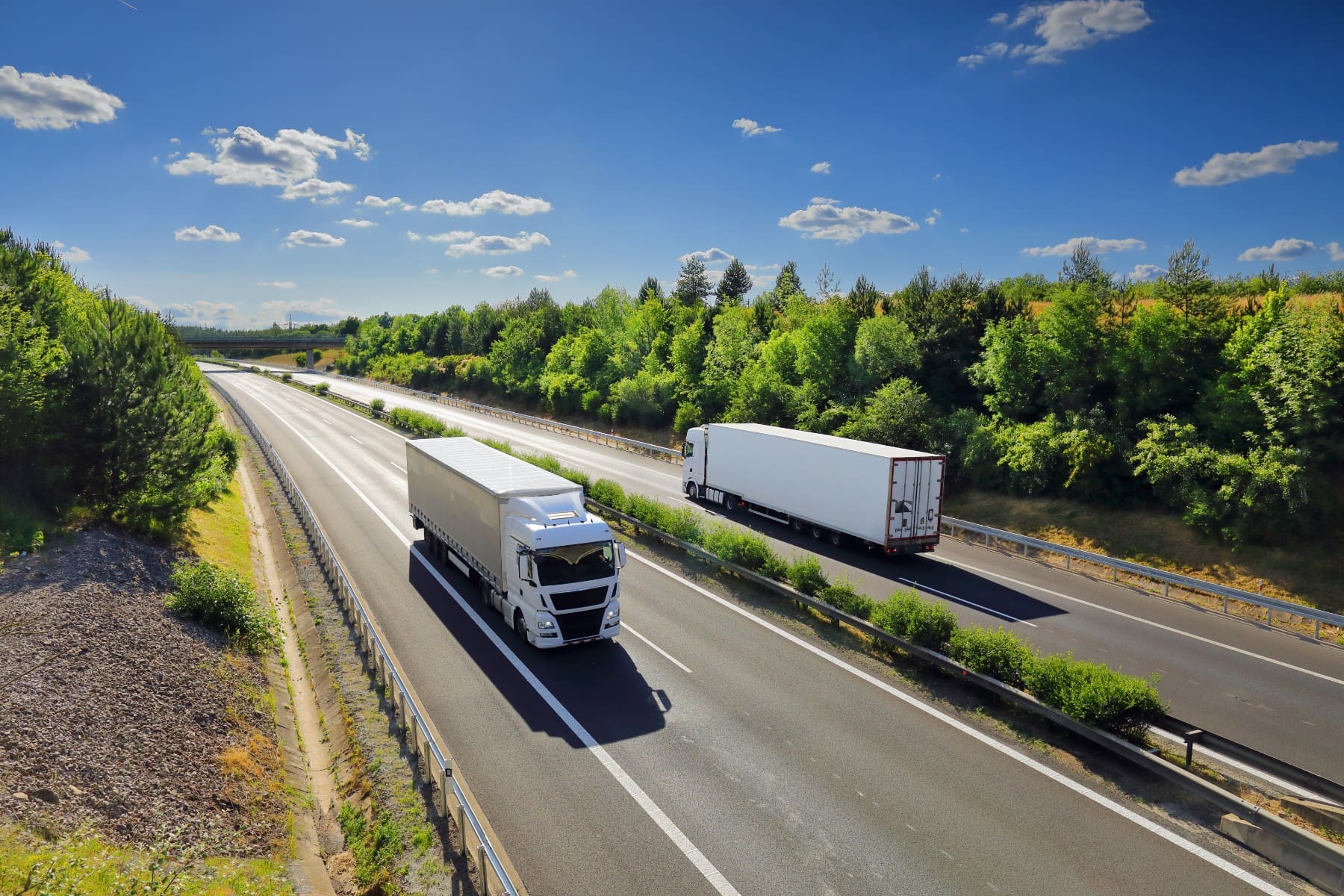 Two white cargo trucks driving on a highway surrounded by lush greenery under a clear blue sky.